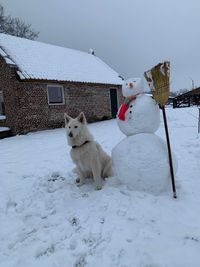 sneeuwpop_en_wolf